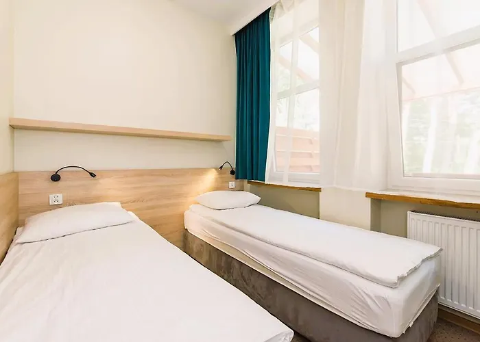 3 Wiosla Brzozowa Zatoka *